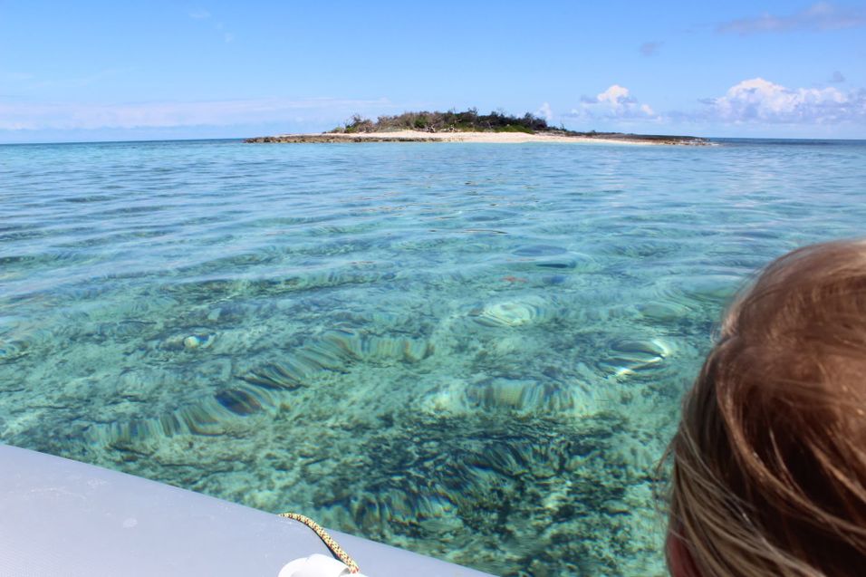 Step 1 Gallery image 3