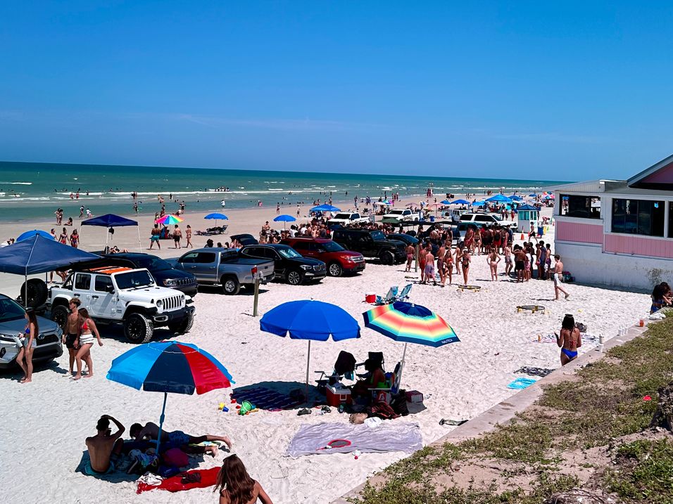 Step 2 Gallery image 3