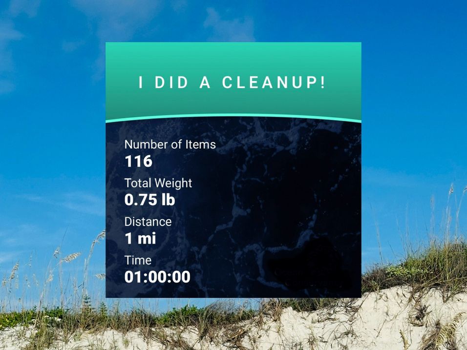 Step 4 Gallery image 2