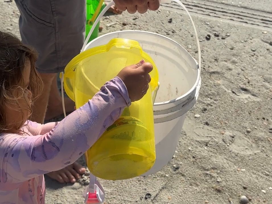 Step 3 Gallery image 3