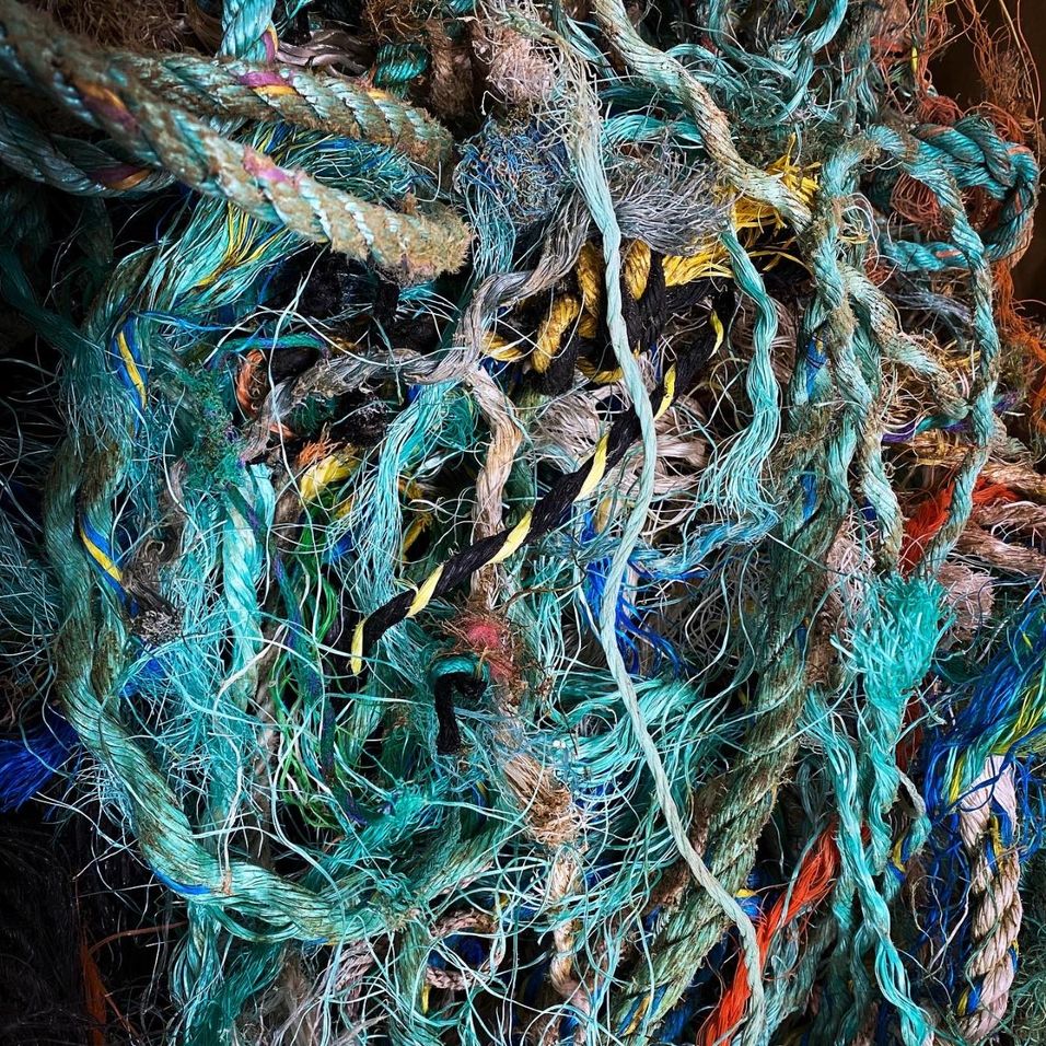 Step 1 Gallery image 1