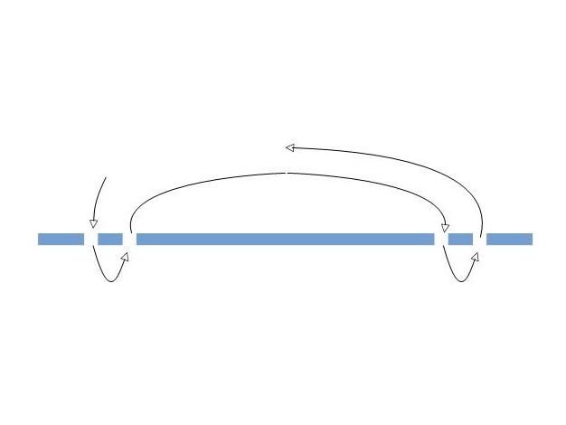 Step 16 Gallery image 1