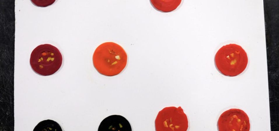 Step 6 Gallery image 1