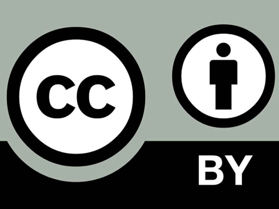 Step 9 Gallery image 1