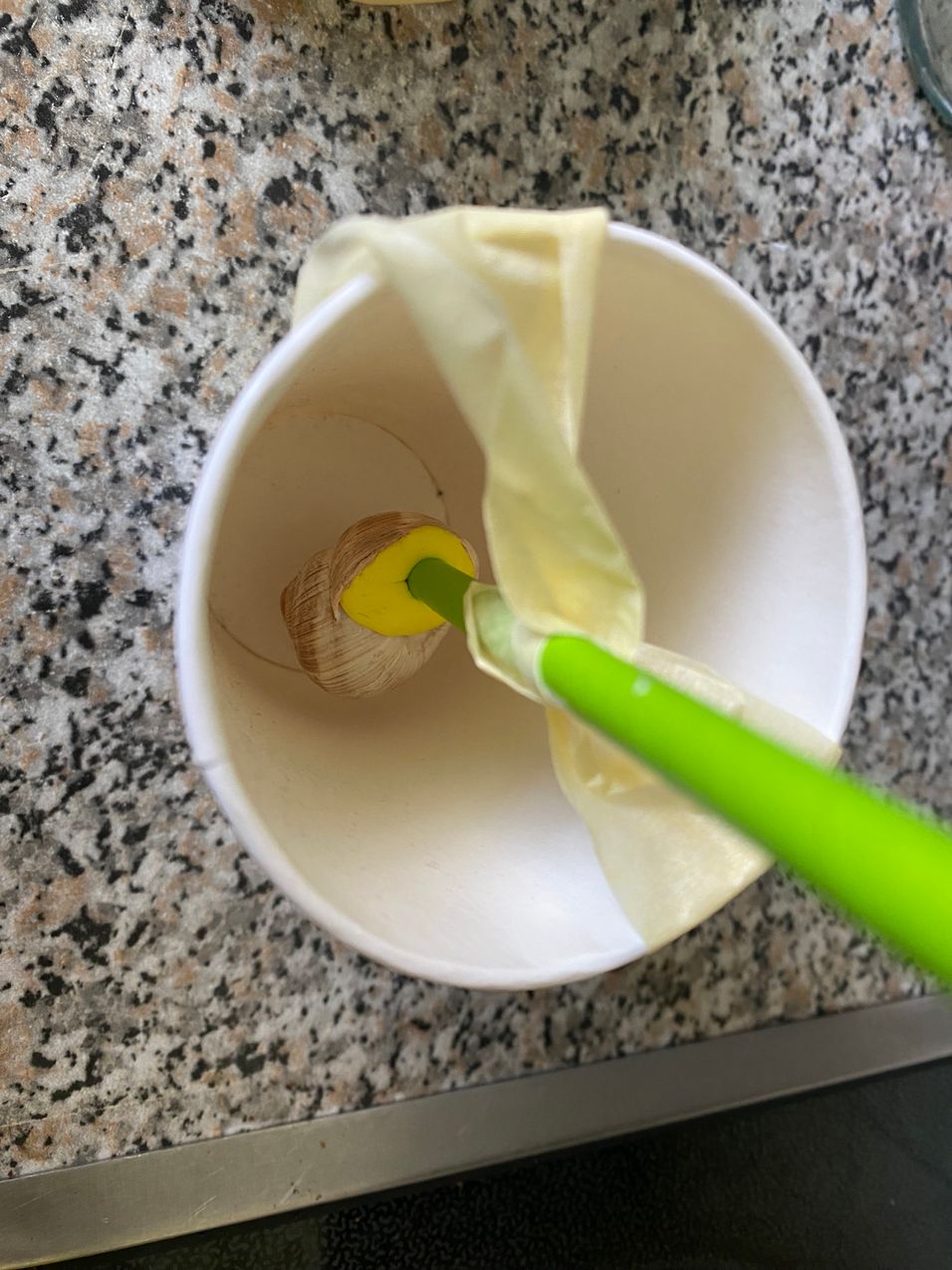 Step 1 Gallery image 1