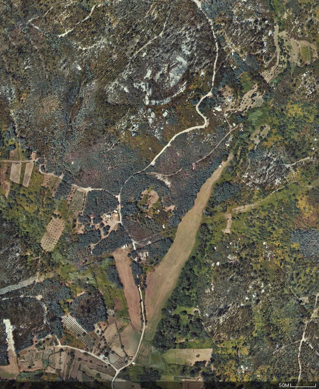 Gallery image 1