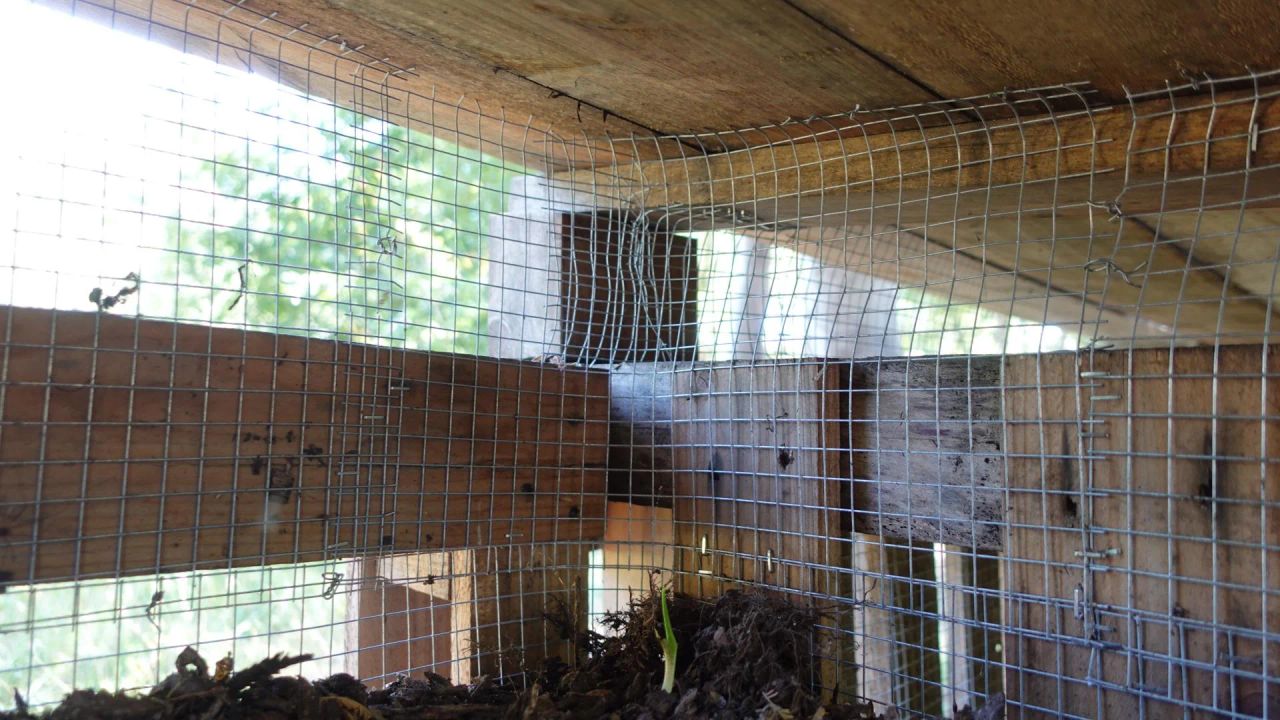 Gallery image 4